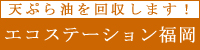 �G�R�X�e�[�V��������